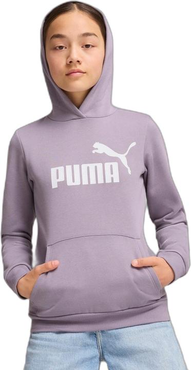 Actual product image Puma ESS Logo Hoodie FL G (164)