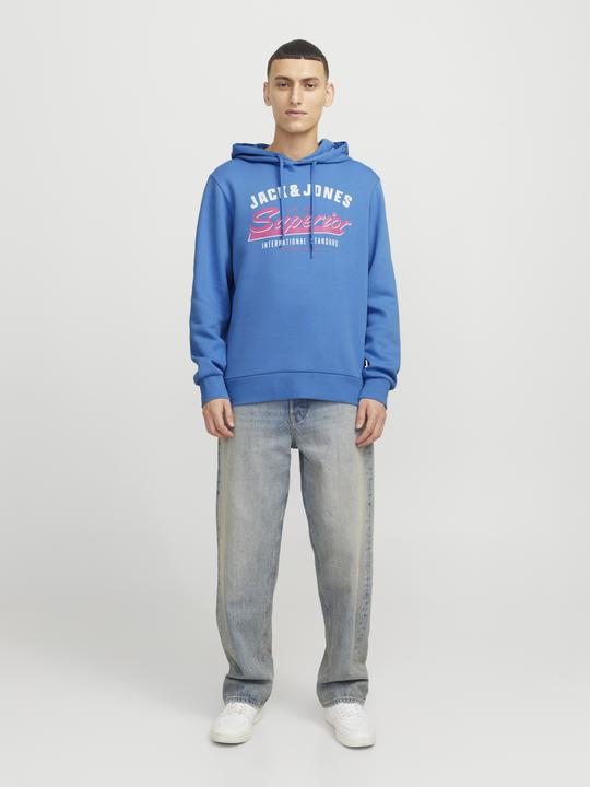 Image du produit Jack & Jones JJELOGO SWEAT HOOD 2 COL 24/25 NOOS (XS)