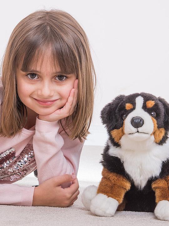 Produktbild Teddy Hermann Berner (25 cm)