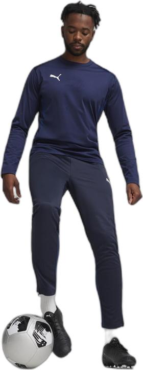 Actual product image Puma teamGOAL Training Pant (S)