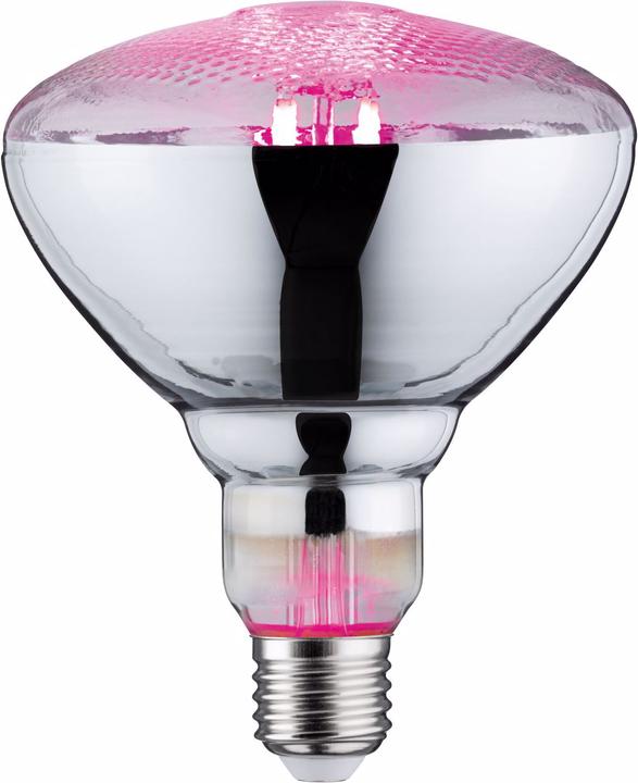 Paulmann Lampada per piante Grow Green PAR38 (LED, 230 V)