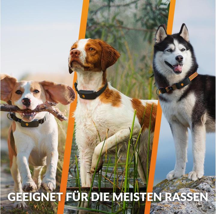 Image du produit Weenect Traceur GPS pour chiens (XL, Chien, Sport canin)