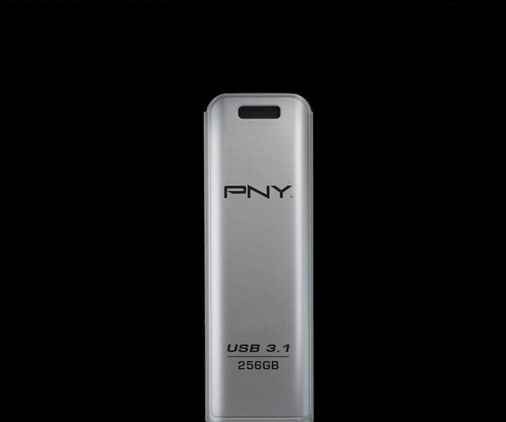 Image du produit PNY Elite Steel (256 Go, USB-A, USB 3.1)