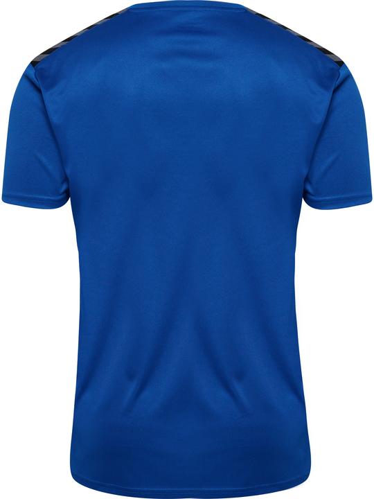 Actual product image hummel Hmlauthentic Pl Jersey S/S (S)