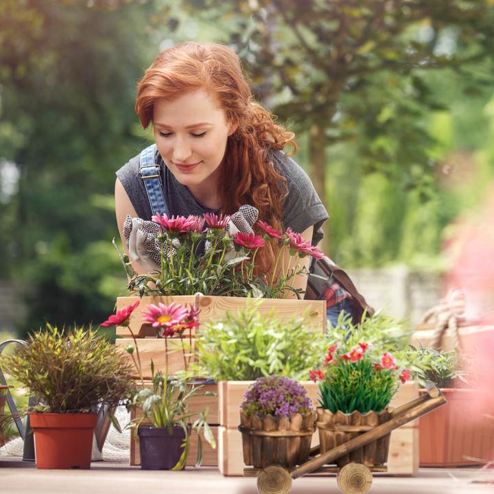Image du produit Relaxdays Chariot à plantes (17.50 cm)