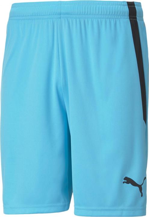 Actual product image Puma teamLIGA Shorts-704924 (60, 3XL)