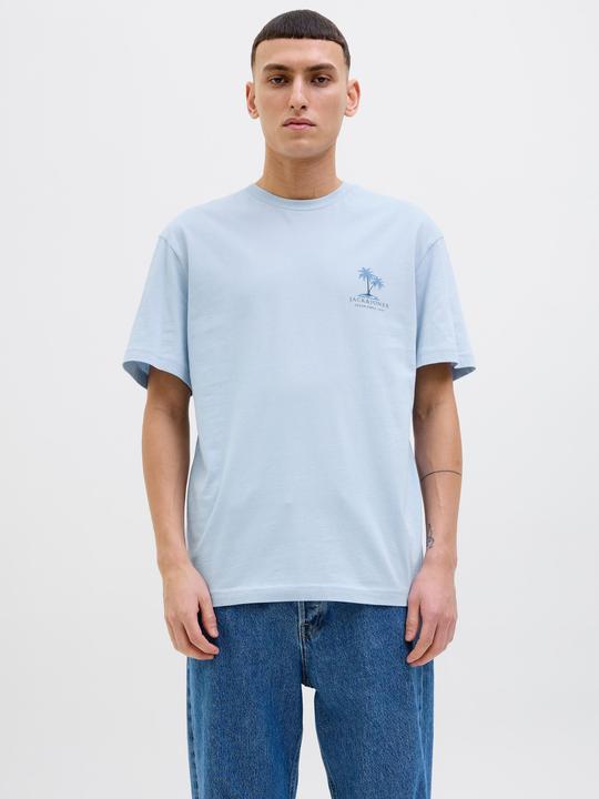 Produktbild Jack & Jones Jjsummer Vibes Tee Ss Crew Neck Ln (L)