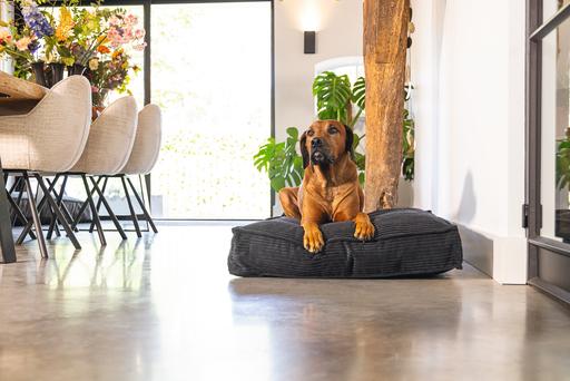 Actual product image Designed by Lotte Ribbed Cushion (Dog)