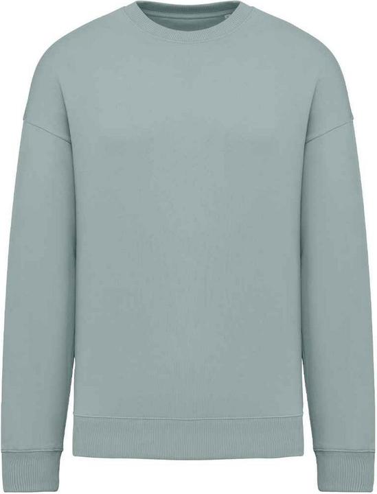 Native Spirit Sweatshirt Übergross