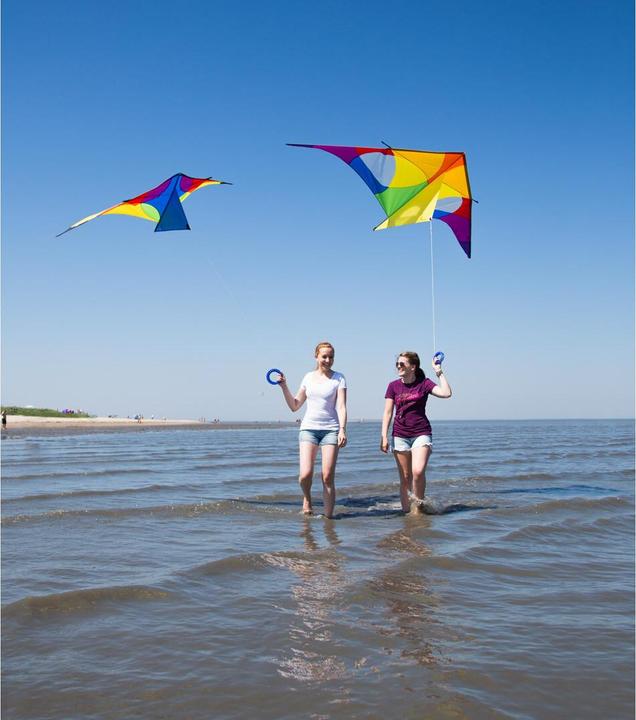 Image du produit Invento Cerf-volant Delta Rainbow 3 m