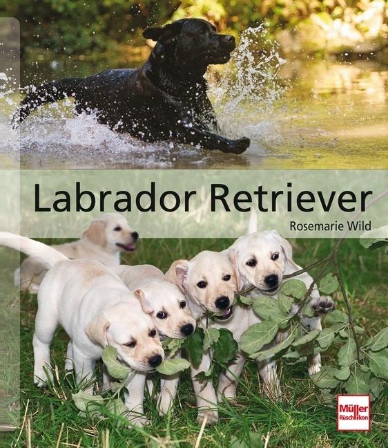 Produktbild Labrador Retriever (Deutsch, Rosemarie Wild, 2011)