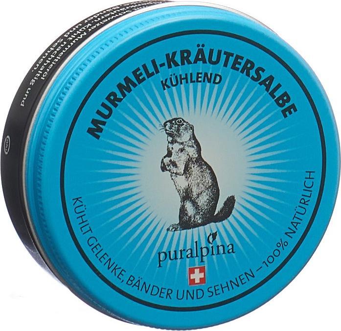 Immagine prodotto Puralpina Murmeli unguento alle erbe rinfrescante (1 x, 50 ml, 70 g)