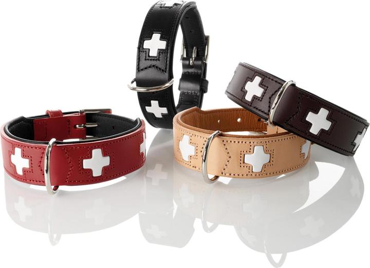 Immagine prodotto Hunter Svizzero (Cane, Sport cane)