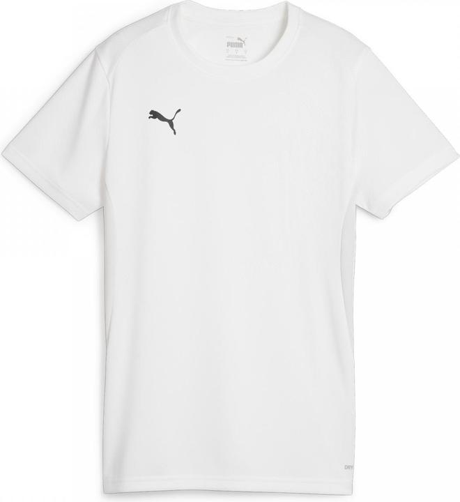 Produktbild Puma teamGOAL Jersey Wmn (XL)