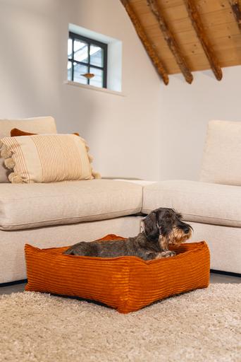 Productafbeelding Designed by Lotte Geribbeld (Hond)