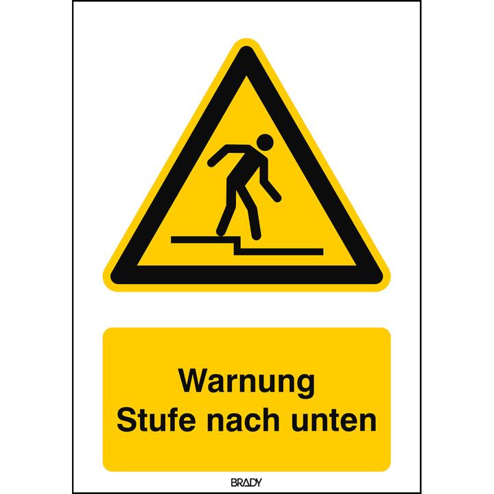 Image du produit Brady Panneau de sécurité ISO - Avertissement Niveau vers le bas