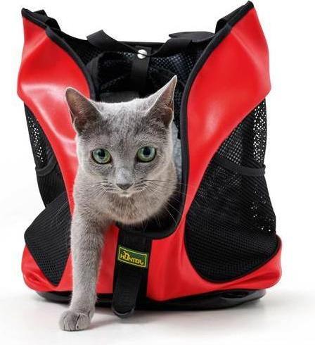 Actual product image Hunter Taylor (Dog, Foldable)
