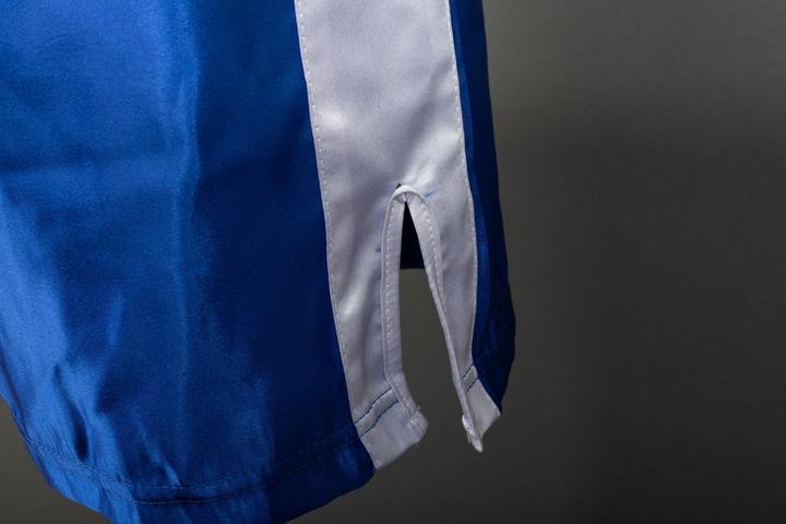 Image du produit Budo.ch Boxing Shorts "King" (L)