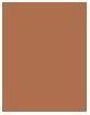 Actual product image Shiseido Synchro Skin Correcting GelStick (No. 304 Medium)
