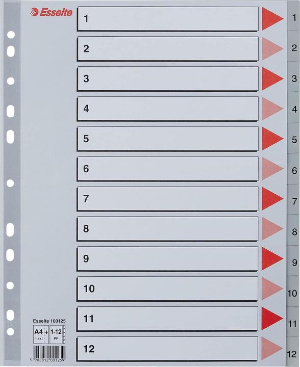 Esselte Register