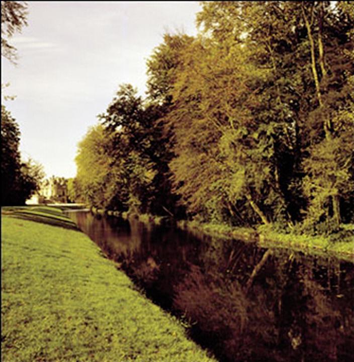 Image du produit Cokin Filtre A029 85A (67 mm, Filtres d'effet, 67 mm)