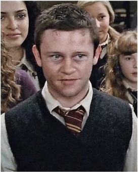 Image du produit Noble Collection Baguette magique Seamus Finnigan de Harry Potter (édition personnage)