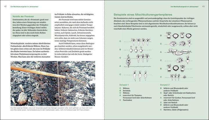 Produktbild Gesunder Garten durch Mischkultur (Deutsch, Brunhilde Bross-Burkhardt, 2019)