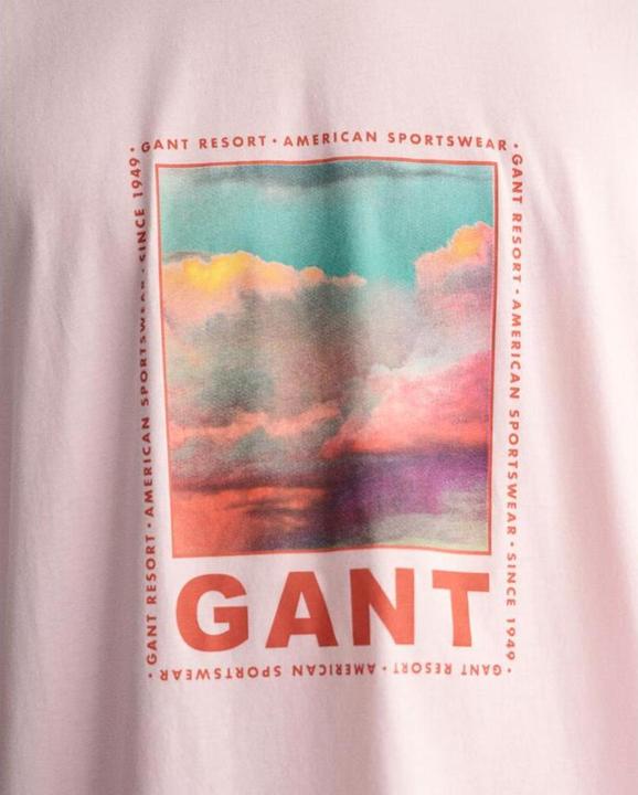 Actual product image GANT t-hirt wahed graphic (S)