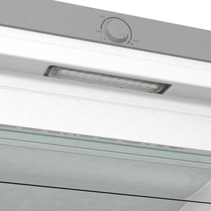 Immagine prodotto Gorenje Gore GefSch FN 619 EES5 E inox (Struttura autonoma, 280 l)
