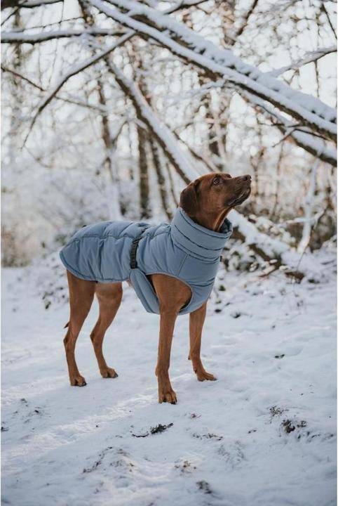 Actual product image Hunter Dogcoat Paxson 45, blue - (203463) (45, Dog coat)