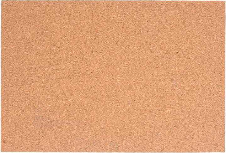 Actual product image Glorex Corkboard