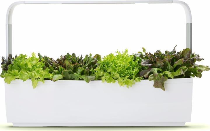 Image du produit Tregren Pot à herbes T12 Blanc (64.50 cm)