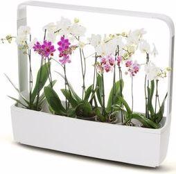 Image du produit Tregren Pot à herbes T12 Blanc (64.50 cm)