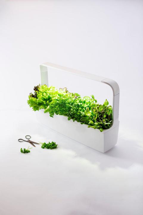 Image du produit Tregren Pot à herbes T12 Blanc (64.50 cm)