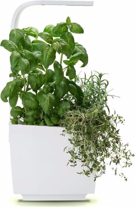 Image du produit Tregren Pot à herbes T3 (19.50 cm)