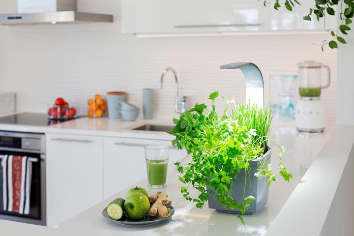 Produktbild Tregren Kräutertopf T3 (19.50 cm)