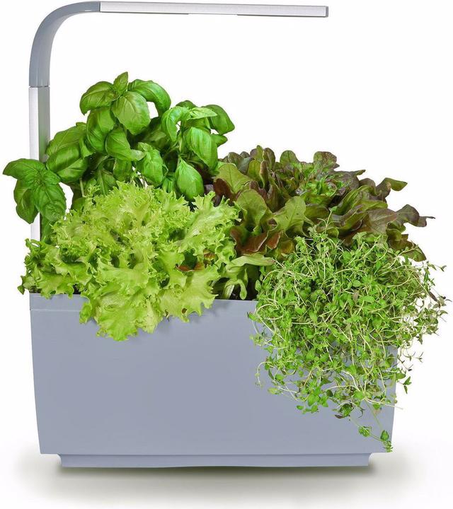 Immagine prodotto Tregren T6 Giardino d'inverno (17.50 cm)