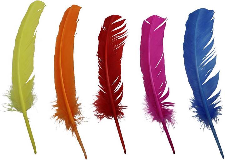 Immagine prodotto Glorex Piume indiane, colorate, 5pcs 28-30cm