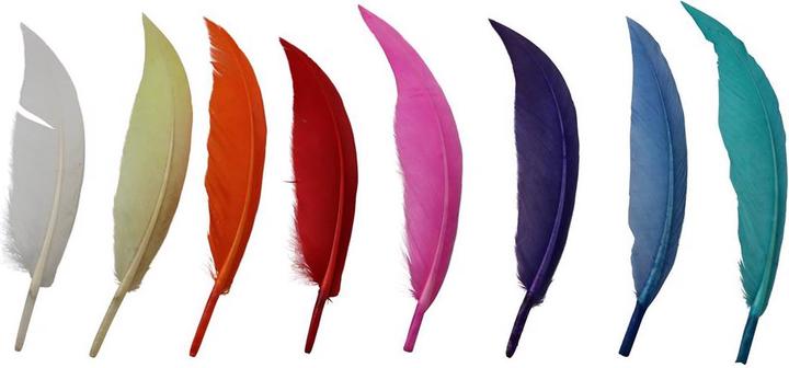Produktbild Glorex Indianerfedern, bunt, 30St. 13-16cm