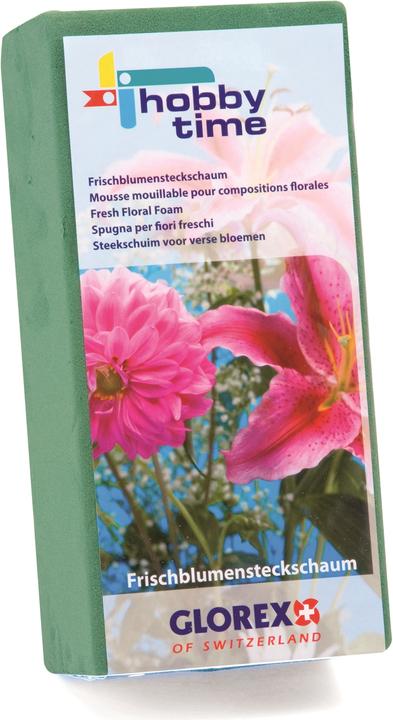 Image du produit Glorex Mousse pour compos.florales p. fleurs fraiches, 230x110x75mm