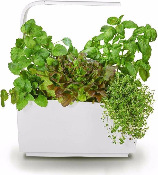 Image du produit Tregren Pot d'herbes T6 (34.50 cm)