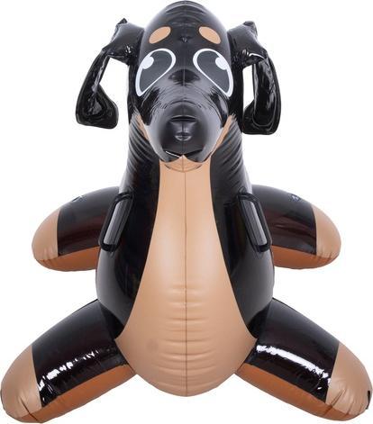 Actual product image Jilong SUP Pumpe
