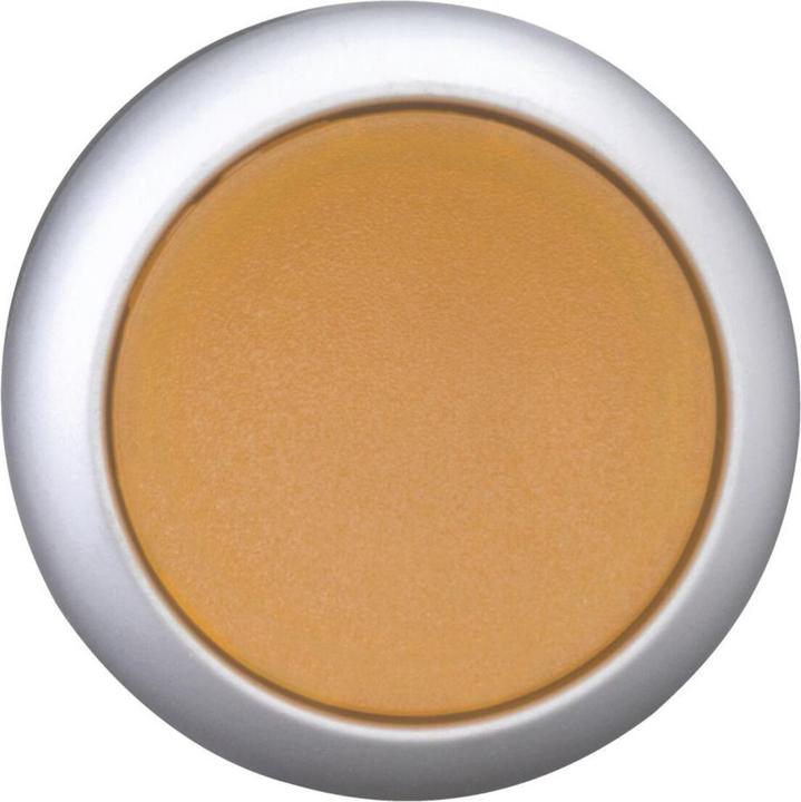 Produktbild Eaton Leuchtdrucktaste, RMQ-Titan, flach, 167429