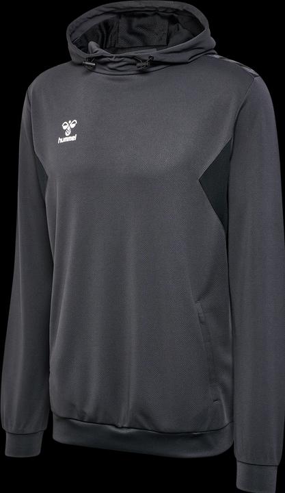 Actual product image hummel Hmlauthentic Pl Hoodie (M)