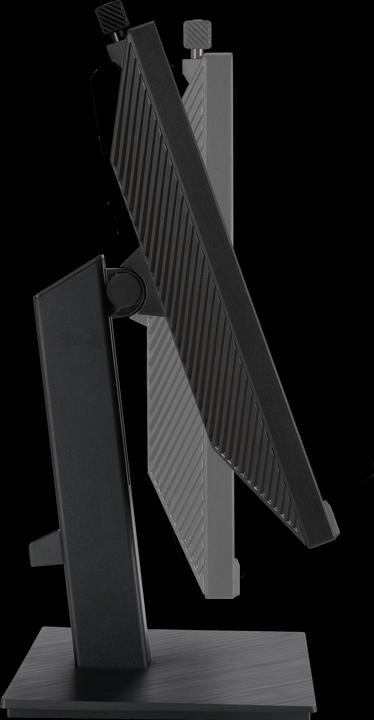 Actual product image ASUS BE24EQSK (1920 x 1080 pixels, 24")