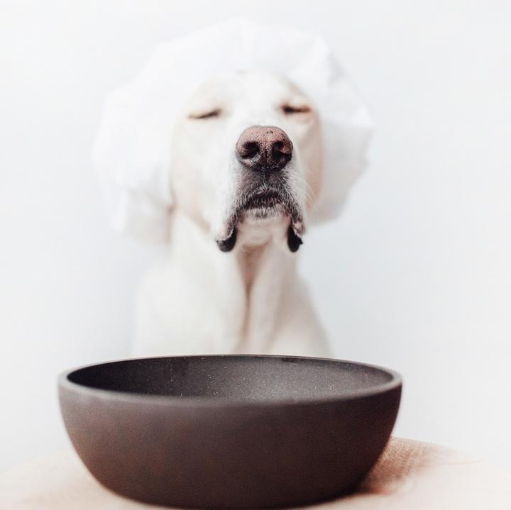 Actual product image District 70 Bamboo Dog Bowl (1 l)