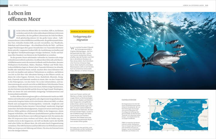 Produktbild National Geographic Das grosse Buch der Ozeane (Deutsch, Sylvia Earle, 2024)