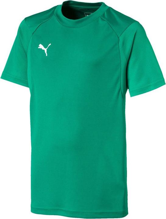 Puma Liga Training Jersey Jr (128)