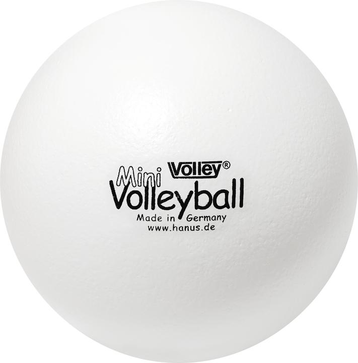 Volley Soft foam ball Mini ball