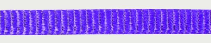 Actual product image Edelrid Tech Web 12mm 100m / whole roll